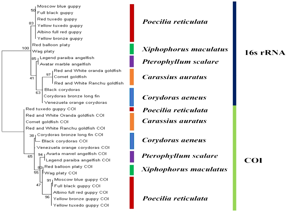 [Fig. 1]