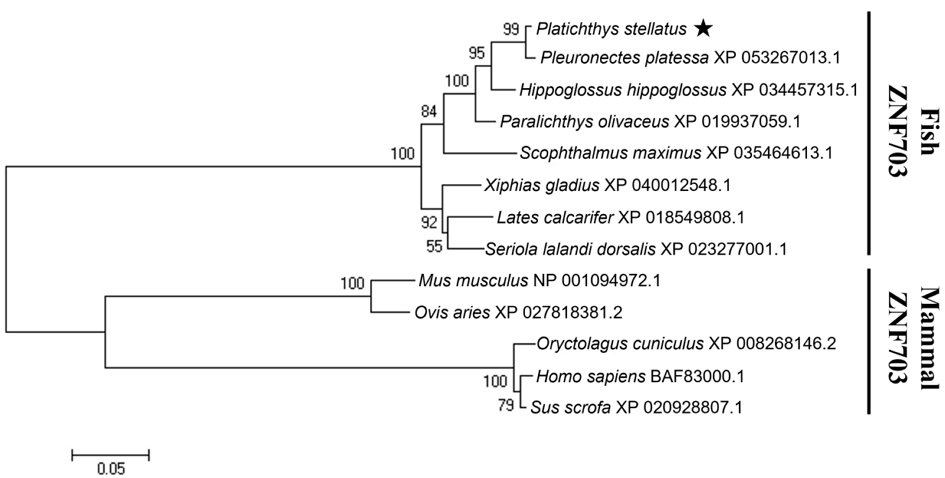 [Fig. 3]