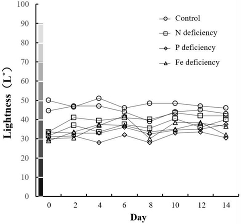 [Fig. 4]