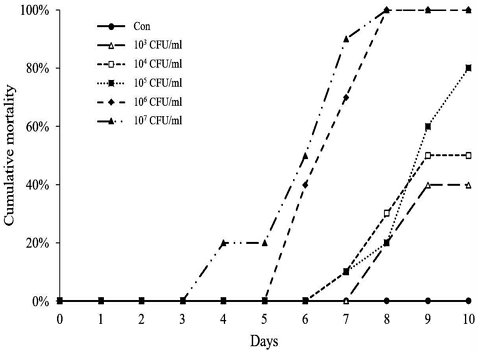 [Fig. 3]