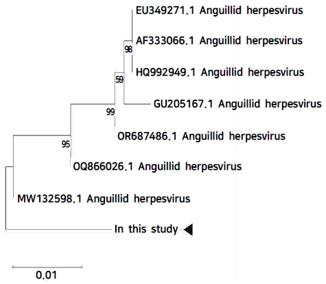 [Fig. 1]