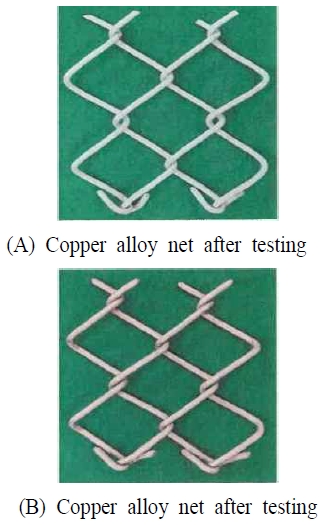 [Fig. 6]
