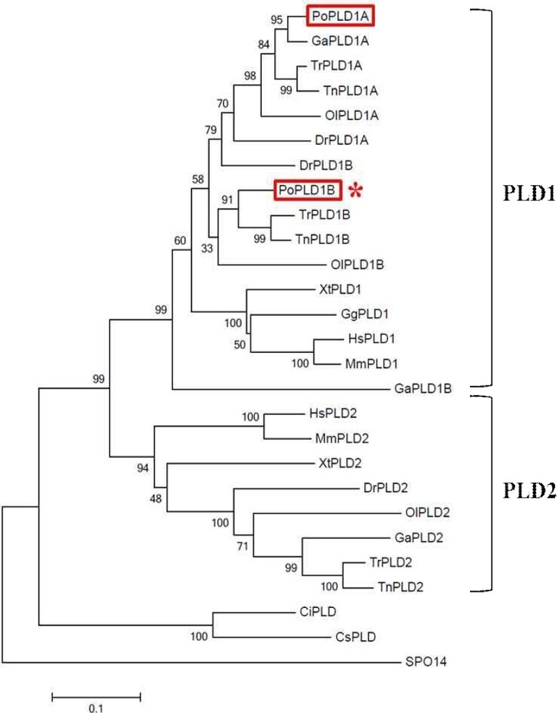 [Fig. 2]