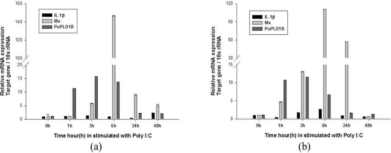 [Fig. 6]