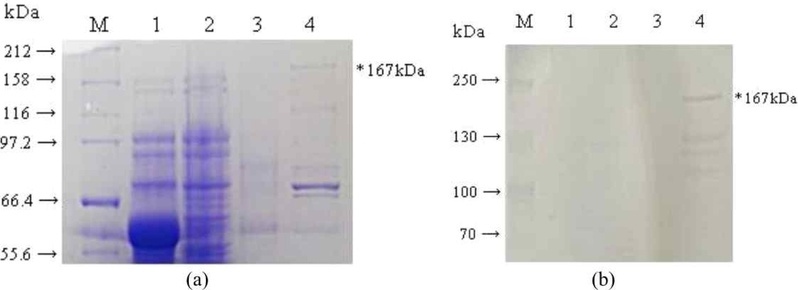 [Fig. 7]