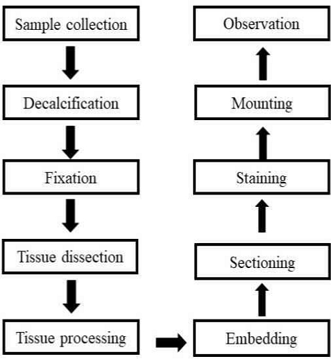 [Fig. 12]