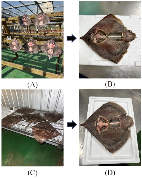 [Fig. 1]