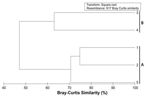 [Fig. 5]