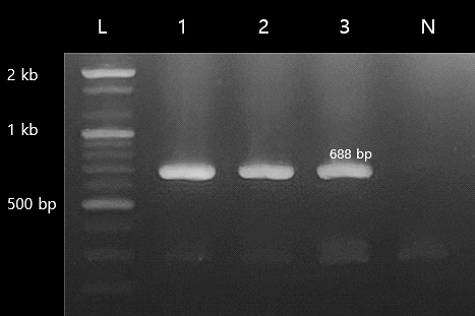 [Fig. 5]