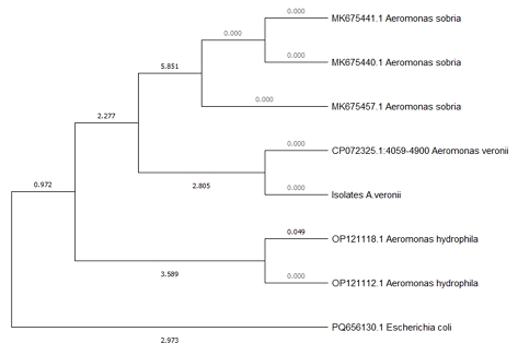 [Fig. 6]
