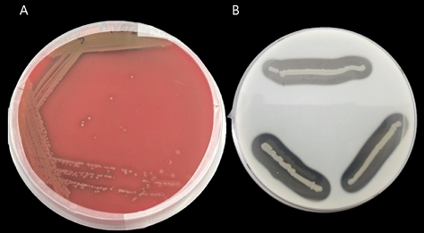 [Fig. 8]