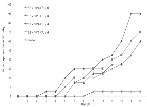 [Fig. 9]