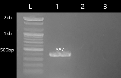 [Fig. 10]