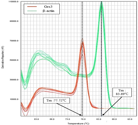 [Fig. 1]