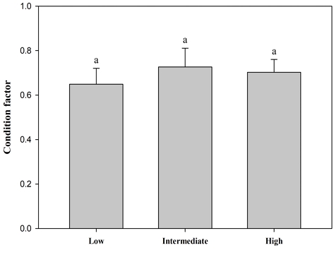 [Fig. 2]